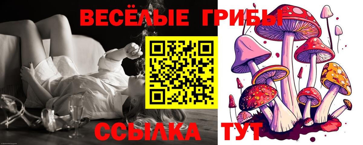 Галлюциногенные грибы ЛСД  Вход с VPN  Ульяновск 