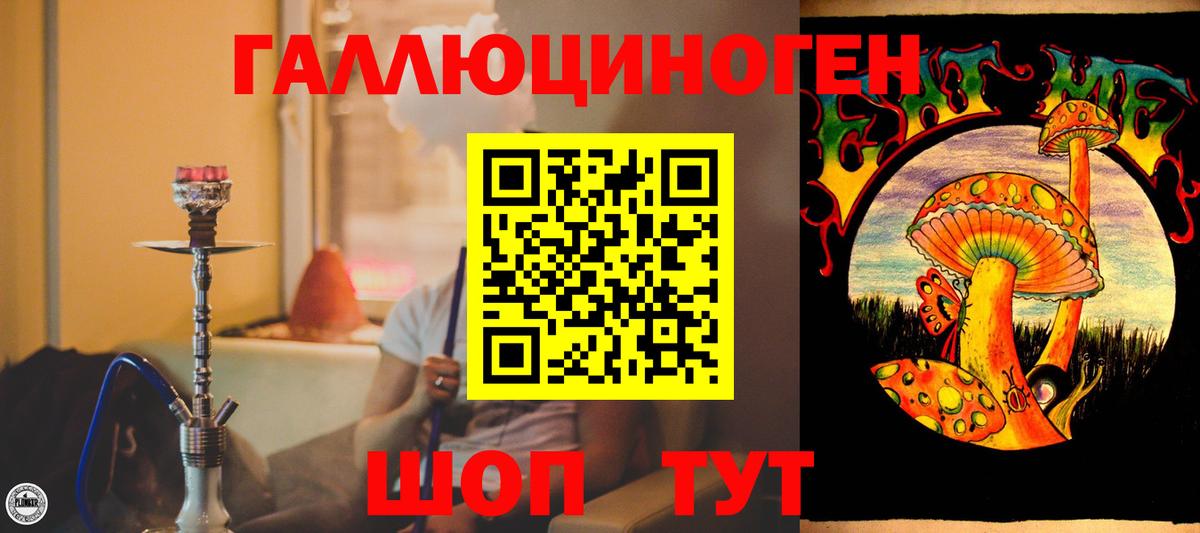 Галлюциногенные грибы прущие грибы Ульяновск