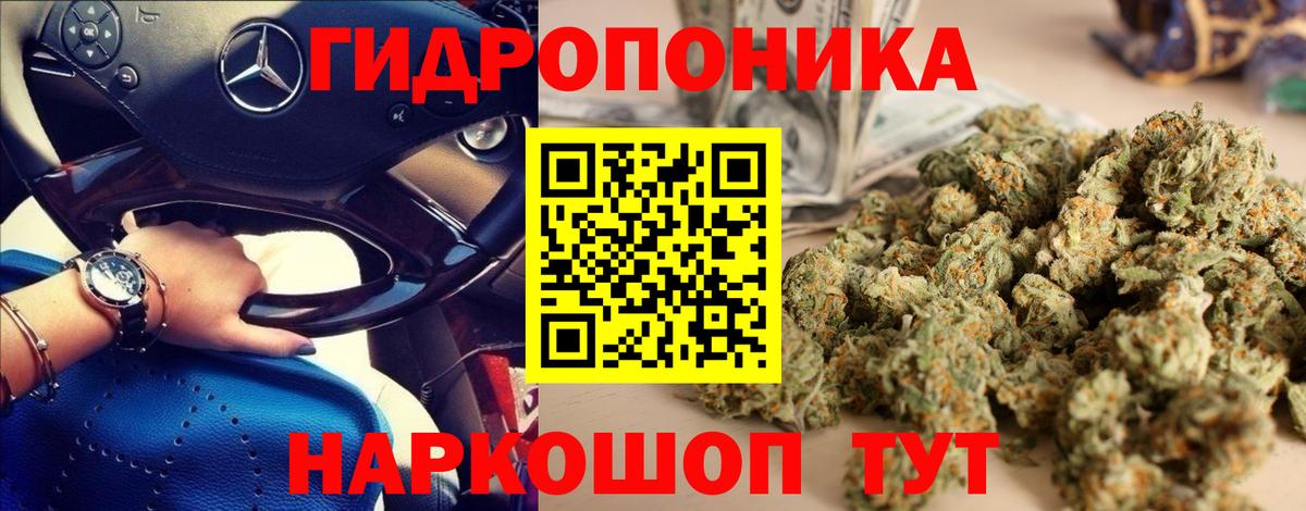 Каннабис сатива Ульяновск