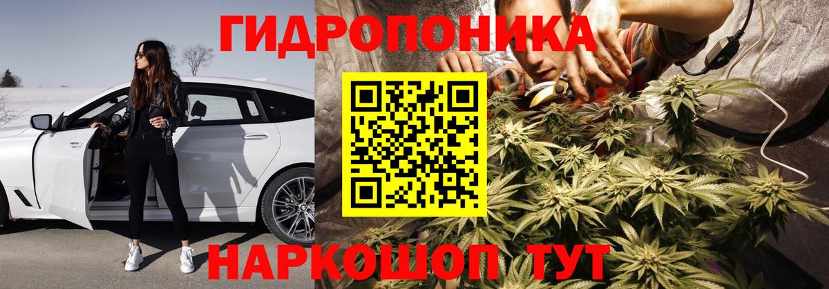 Бошки марихуана AK-47  Вход с VPN  Каннабис THC 21%  Марихуана Amnesia  Ульяновск 